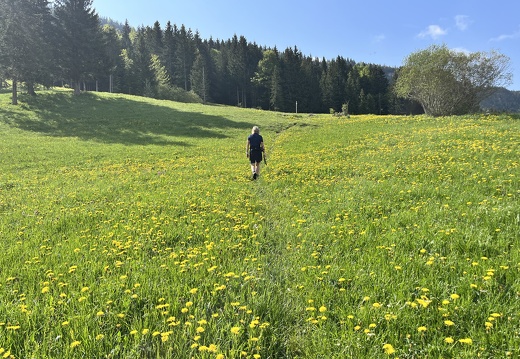 23-05-23 09-52-59 5567